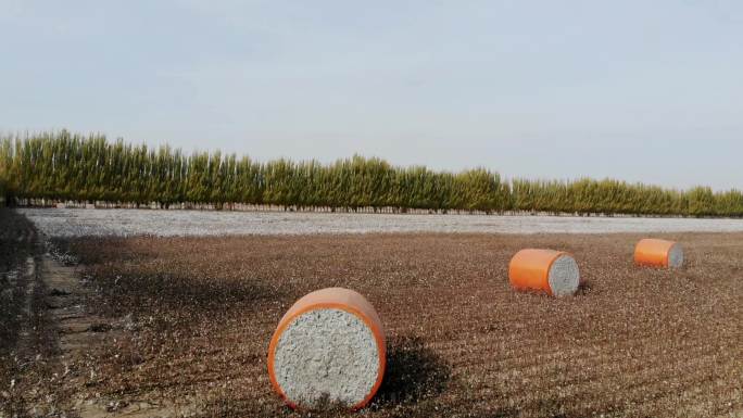 航拍新疆棉花收获季 打包采棉机下蛋过程