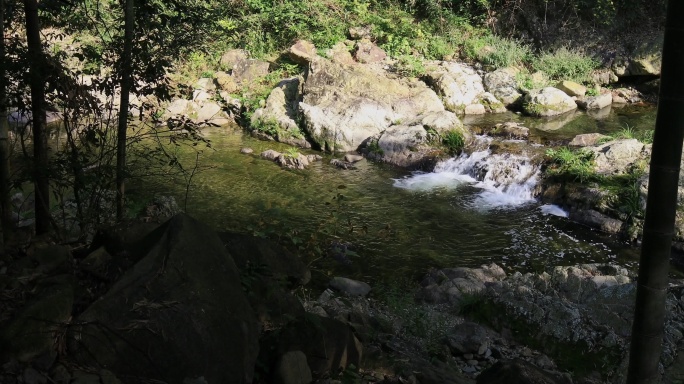 【合集】芝林景区自然风光