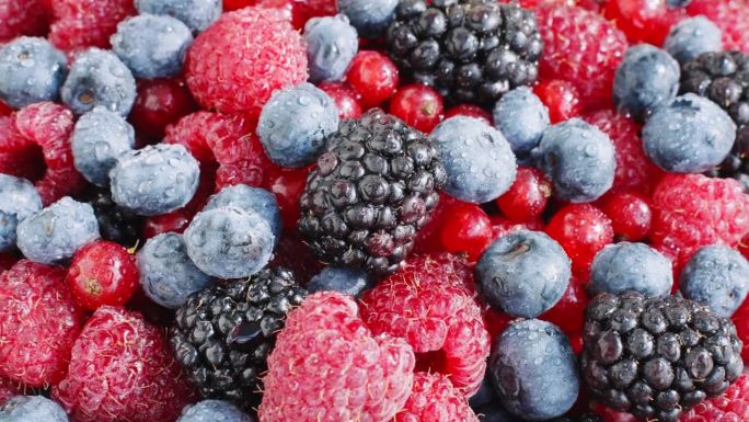图案:新鲜的覆盆子，黑莓，蓝莓，红醋栗旋转上视图。健康的水果浆果。新鲜水果小吃。维生素k夏季概念