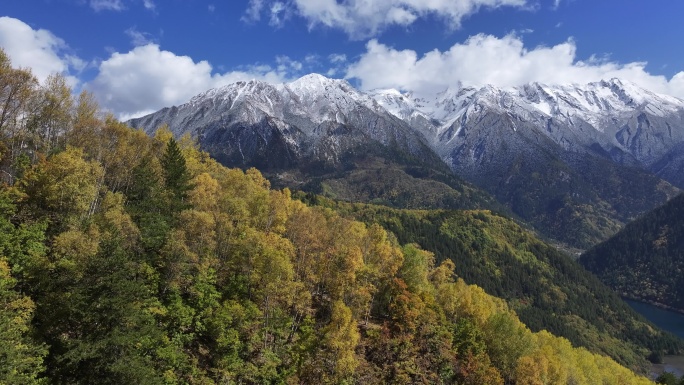 雪山彩林秋景航拍