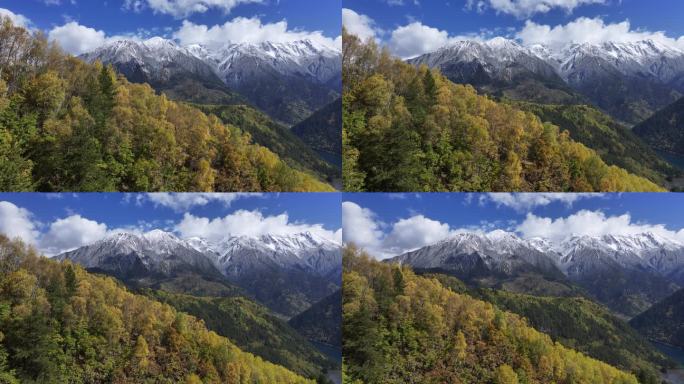 雪山彩林秋景航拍