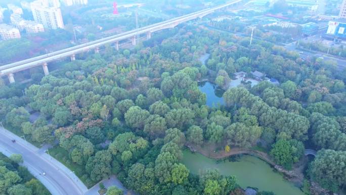 航拍枣庄高铁沿线绿化公园秋景