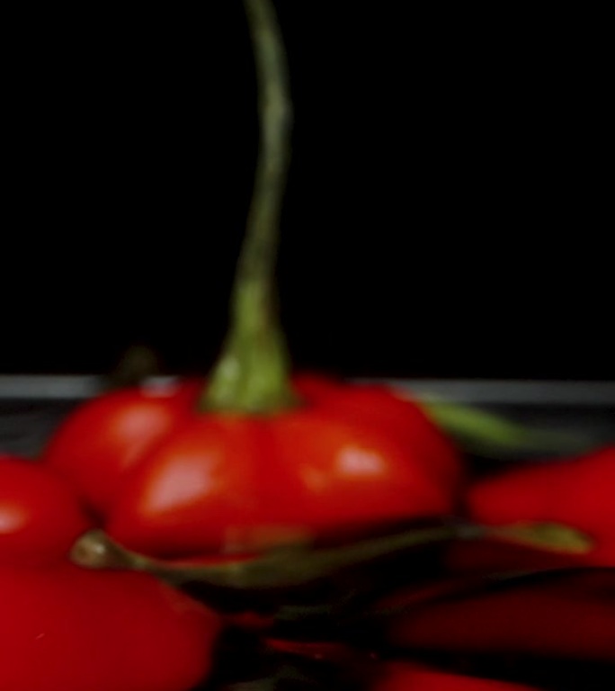 垂直视频。镜头向后移动，“火鸡之星”品种的红色迷你辣椒落入黑色背景的水中。慢动作的宏。