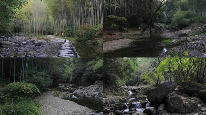 【合集】山涧溪流森林竹林风景