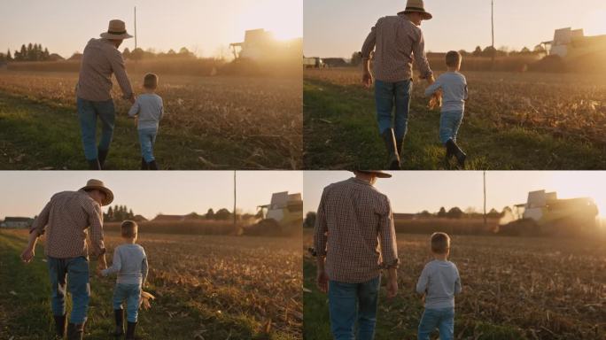 日落时分，农民带着儿子在田间指着收割玉米的联合收割机