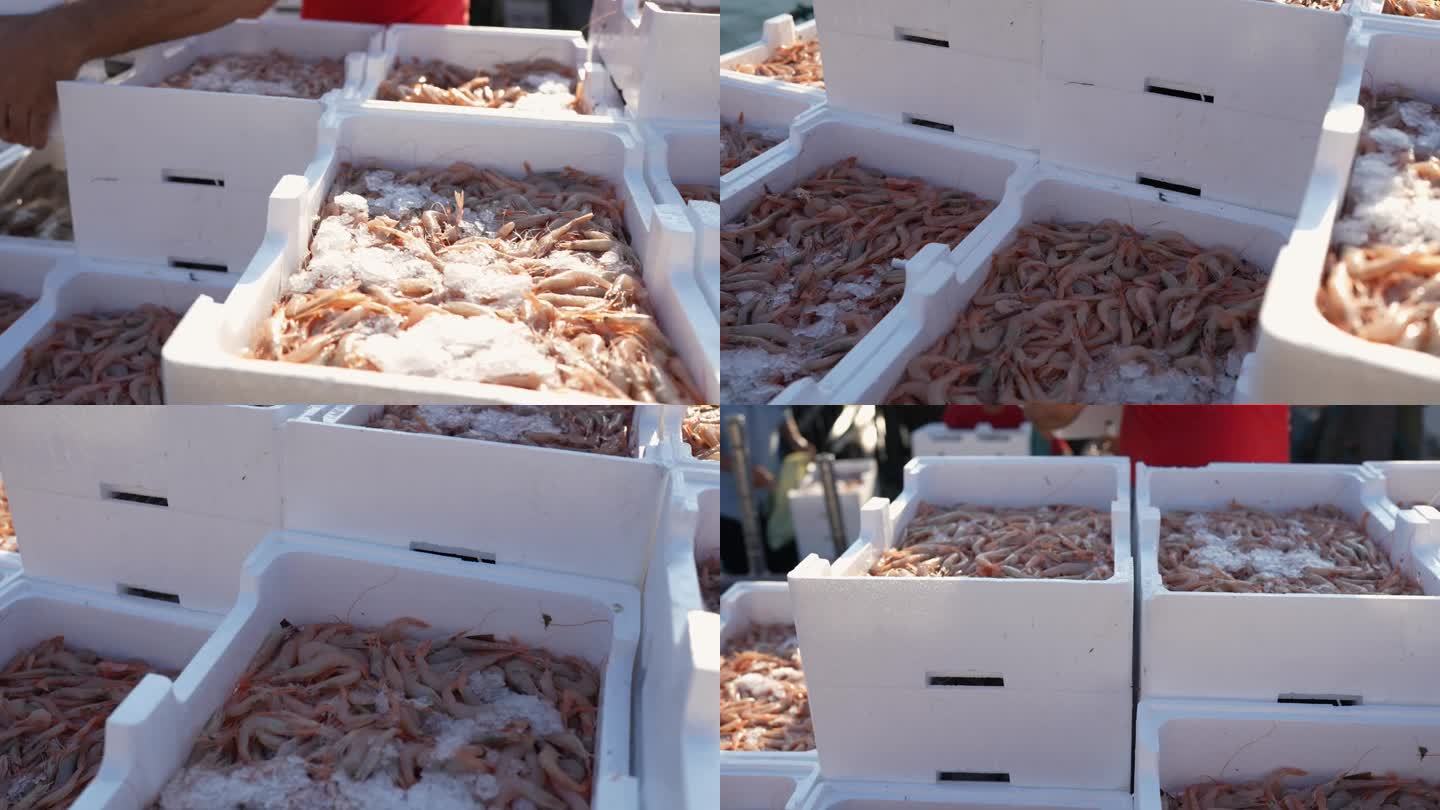 渔民从渔船上卸下虾箱