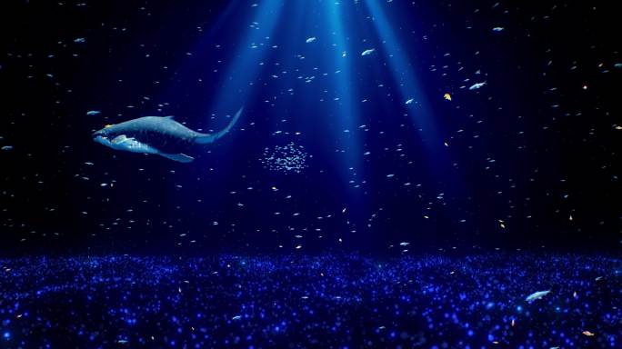 【原创】唯美梦幻海洋粒子鲸鱼