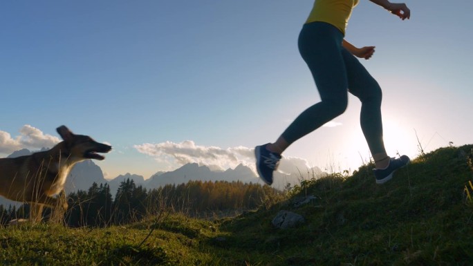 特写，镜头光晕:健康的女跑步者和她的狗跳过小路上的小缺口