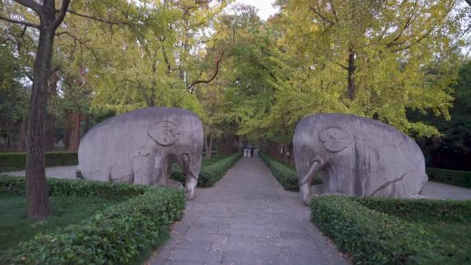 南京明孝陵风景区石象路石象雕塑