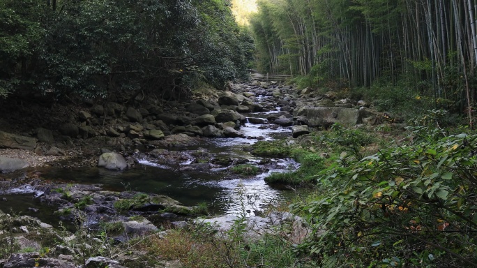 山间小溪山泉水清澈溪流白酒酿酒流水