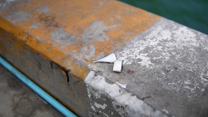 切碎的鱼饵在华欣捕鱼码头在泰国的普拉楚巴奇里汗。