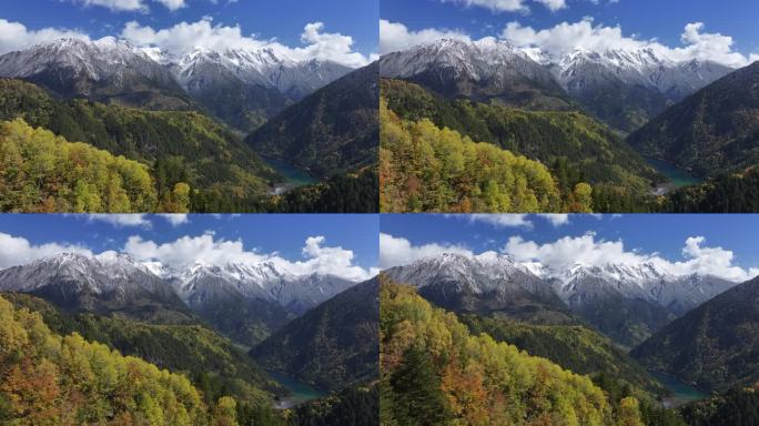 雪山彩林秋景航拍