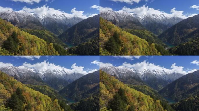 雪山彩林秋景航拍