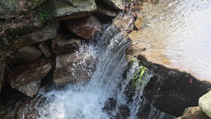 河流 自然 绿色 户外 流水 水180帧