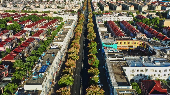 昆山市陆家镇友谊路