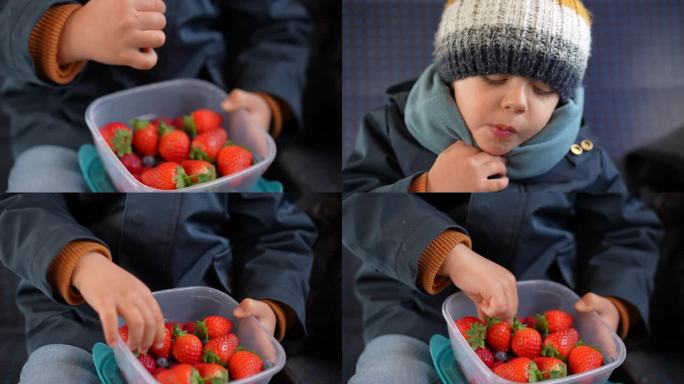 孩子拿着塑料内衣在路上吃浆果。小男孩手摘蓝莓，在草莓中间吃着健康的水果，穿着围巾和夹克