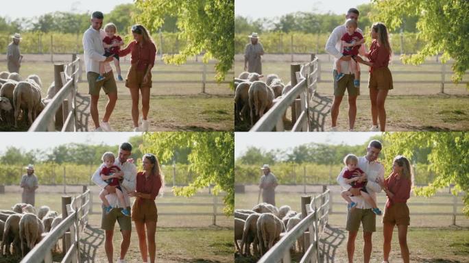 欢快幸福美丽的家庭带着宝宝在农场围栏边散步，在大自然中与羊群一起参观牧场