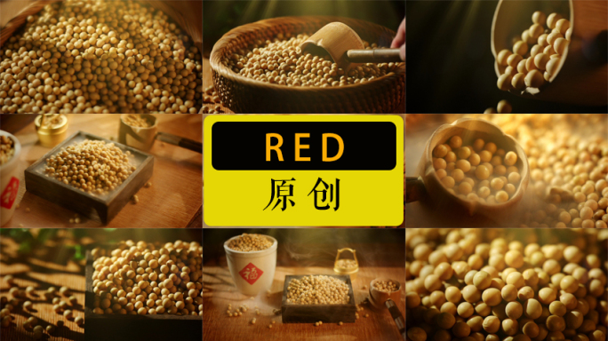 黄豆大豆豆类豆子