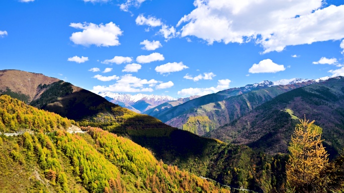 壮丽山川夹金山秋色五彩绚丽风景延时