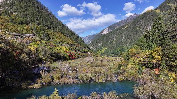 九寨沟树正群海秋景航拍