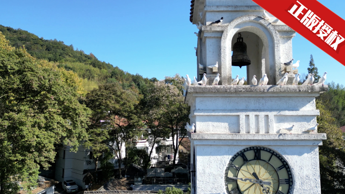 合集莫干山庾村广场鸽子钟楼