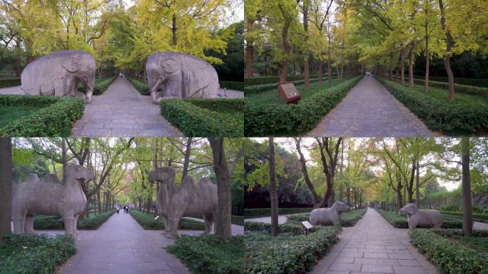 南京明孝陵风景区石象路石狮子雕塑