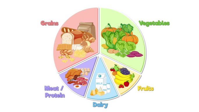 食物常量营养素饼状图