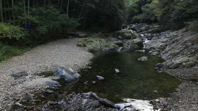 【合集】唯美山涧溪水森林竹林