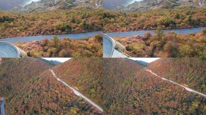 4K山峰公路秋天景色秋意盎然航拍视频
