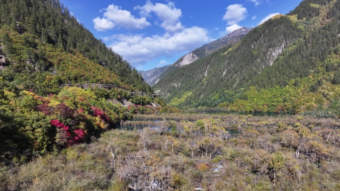 九寨沟树正群海秋景航拍