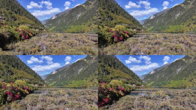 九寨沟树正群海秋景航拍