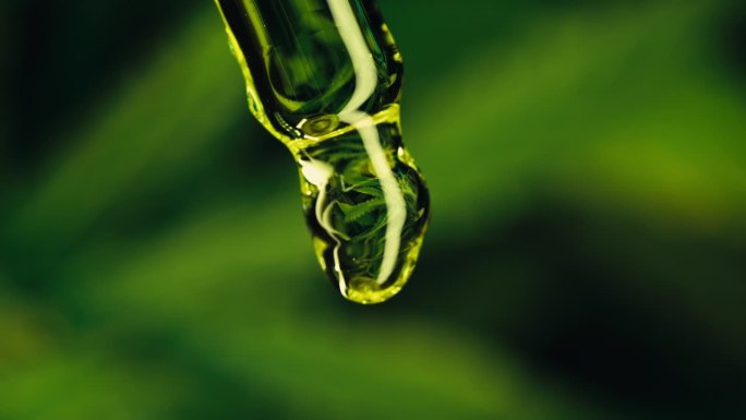 玻璃瓶装大麻四氢大麻酚酊剂，草药治疗。药用大麻油
