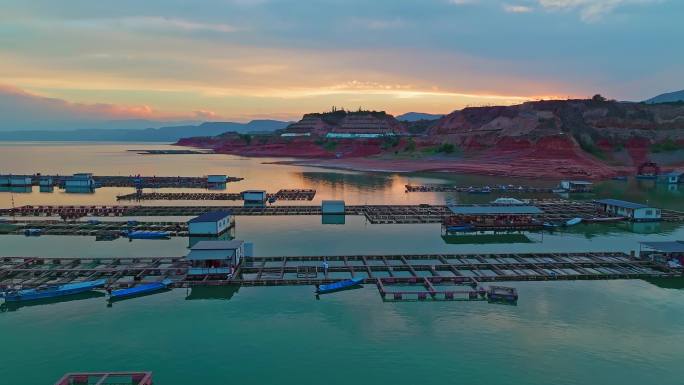 水库养殖黄河大鲤鱼