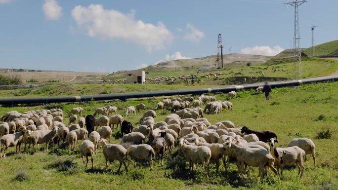 [Z05]张晓明。水力压裂钻机、工厂管道和自然界中的羊群-鸟瞰图- ESG
