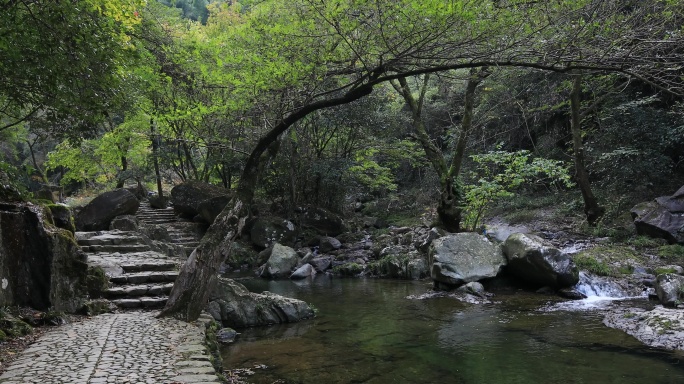 秋季山涧风光