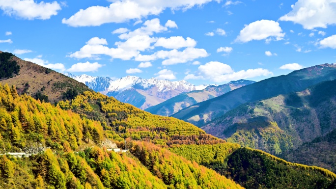 壮丽山川夹金山秋色五彩绚丽风景延时