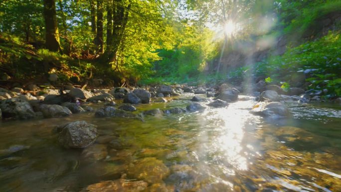 明亮的阳光照耀着流经森林的宁静的波欣卡河