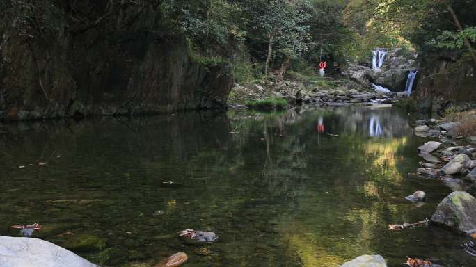 【合集】山涧溪流森林竹林风景