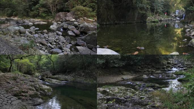 【合集】山涧溪流森林竹林风景