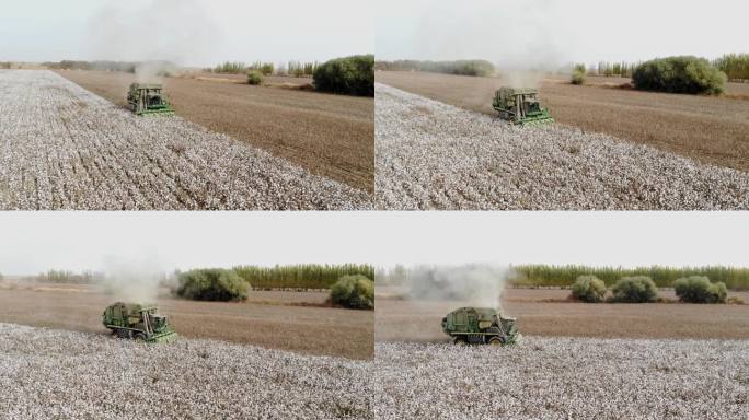 航拍新疆棉花收获季 打包采棉机在田间工作