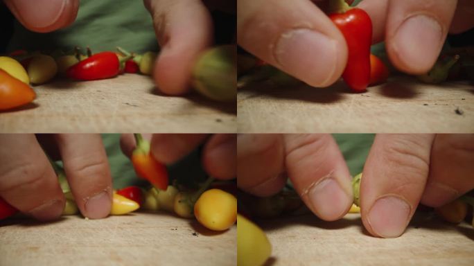 我在剪各种迷你彩色辣椒的茎。多莉滑块极端特写。