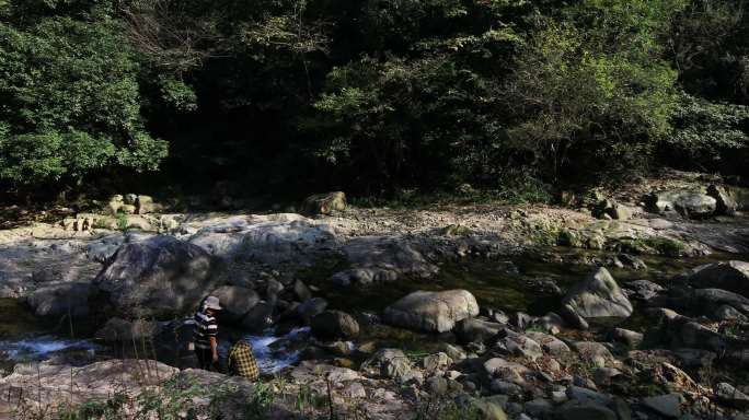 【合集】山涧溪流森林竹林风景