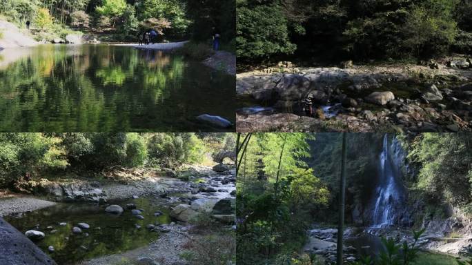 【合集】山涧溪流森林竹林风景