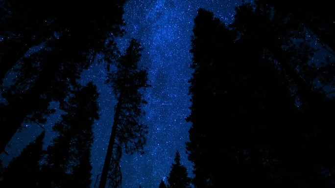 红杉国家公园英仙座流星雨和银河系在北天升起，向内华达山脉倾斜，美国加利福尼亚州
