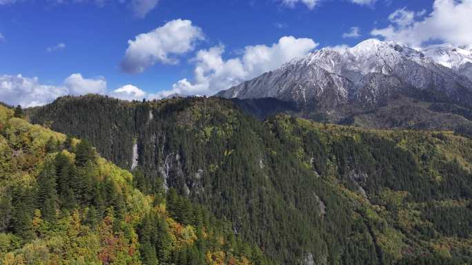 雪山彩林秋景航拍