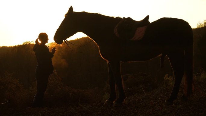 剪影，镜头光晕:去年秋天的阳光照在一个女人和她的马之间