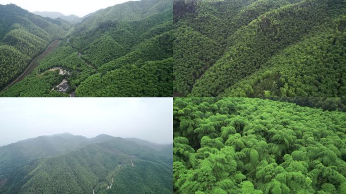 余杭径山 竹林山庄 航怕