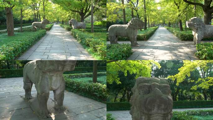 南京明孝陵风景区石象路石狮子雕塑