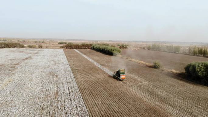 航拍新疆棉花收获季 打包采棉机下蛋过程