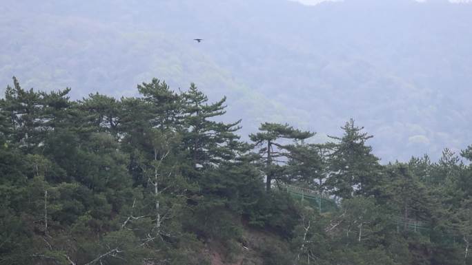 天水麦积山景区小瀑布慢门拍摄素材